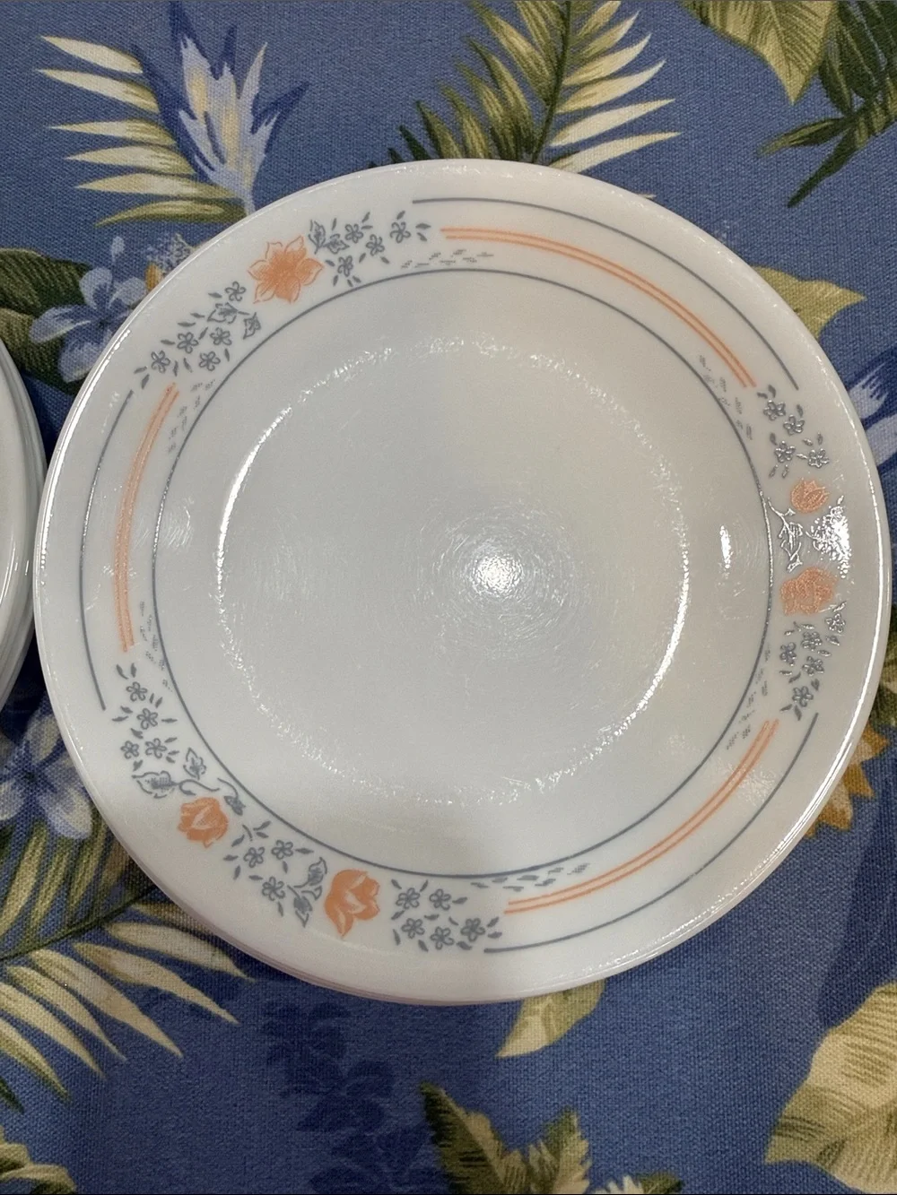 Corelle Apricot Grove set of 10 dessert dishes